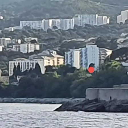 Le Panoramique.vue Mer.bastia *